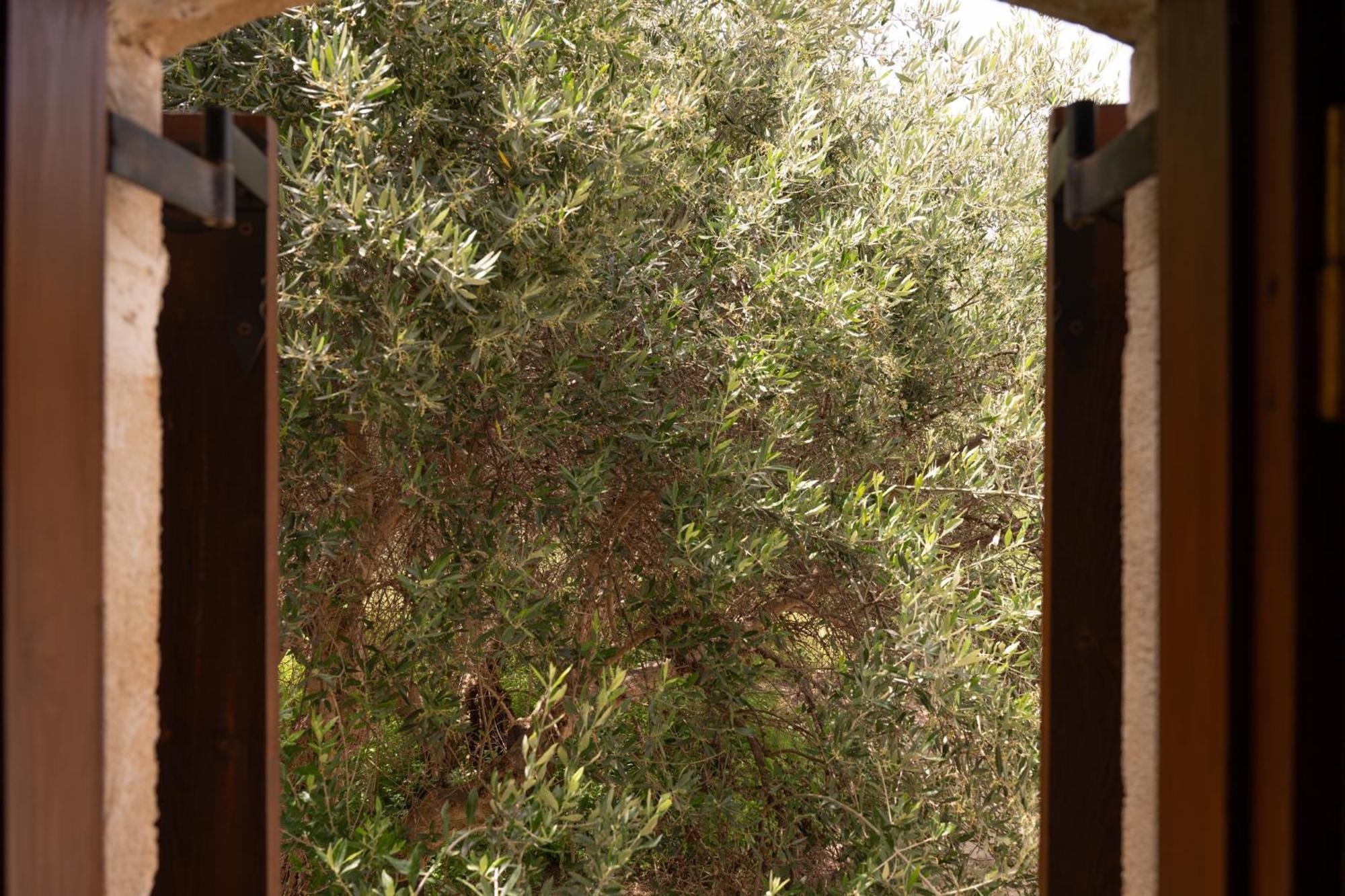 Liofito Village House Pemonia Bagian luar foto